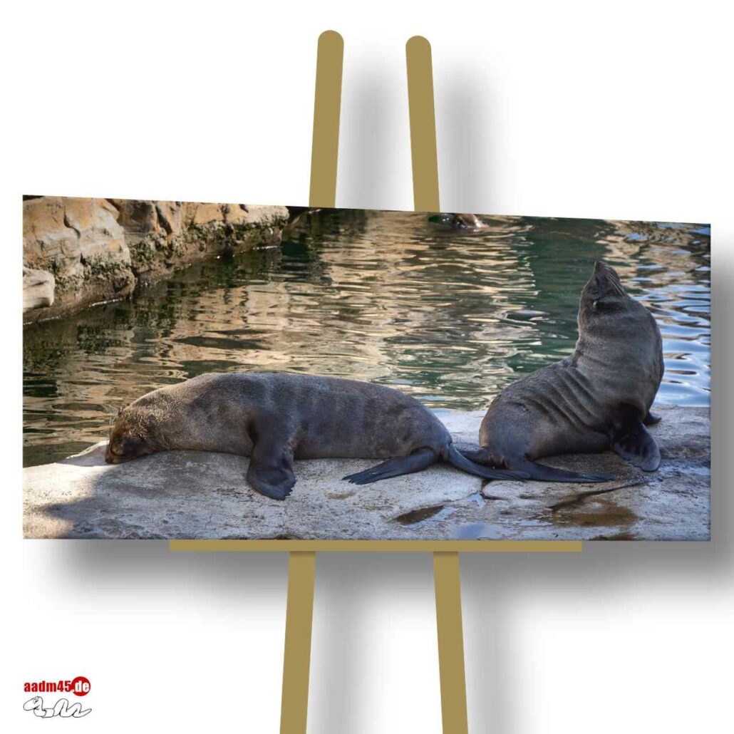 Bremerhaven Zoo am Meer 90x45 cm Canvas