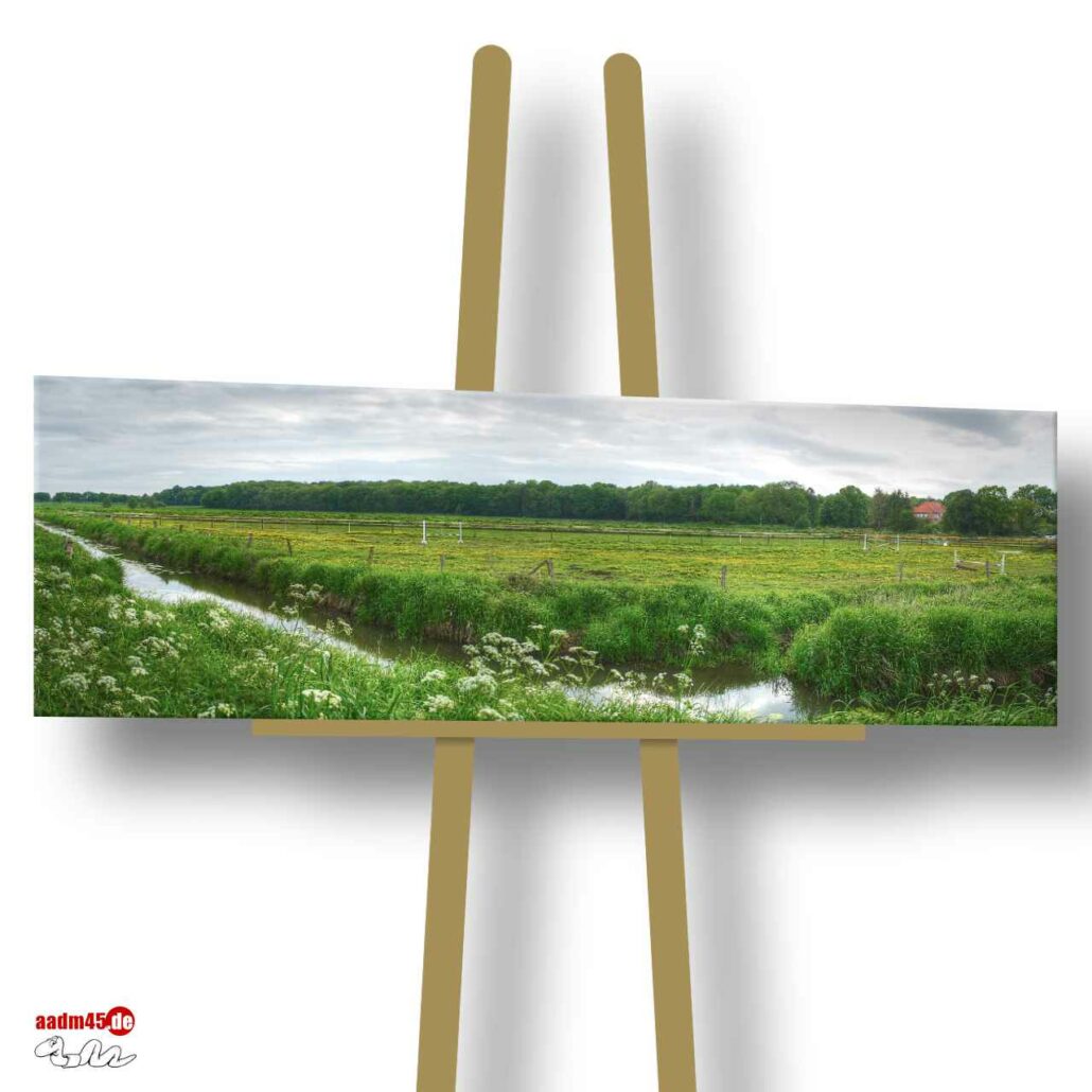 Altluneberg Wiesen Panorama 90x30 cm Canvas