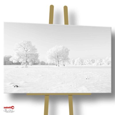 Loxstedt Schneelandschaft 90x60 cm Canvas