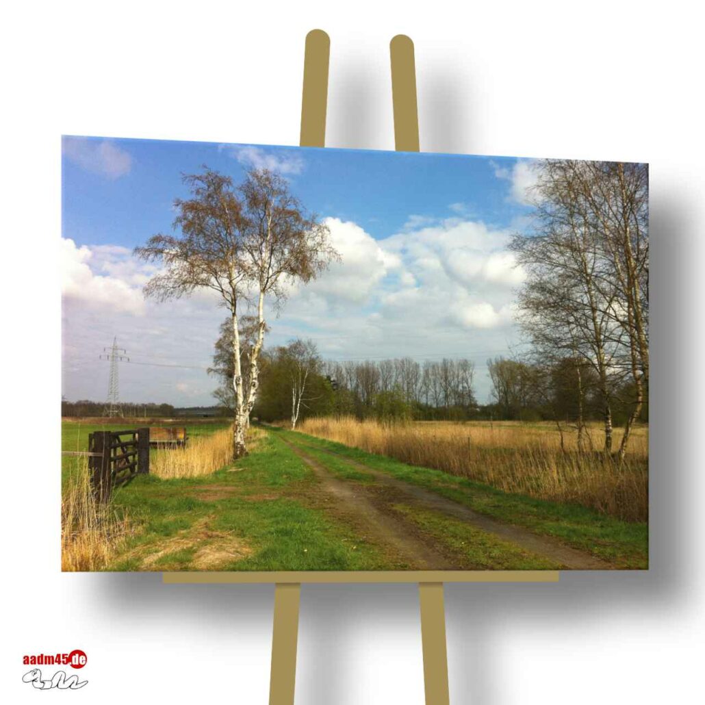 Bremerhaven Birken in Wulsdorf 60x45 cm Canvas