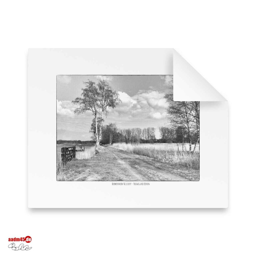 Bremerhaven-Wulsdorf Feldweg mit Birken 50x40 cm Hahnemühle William Turner