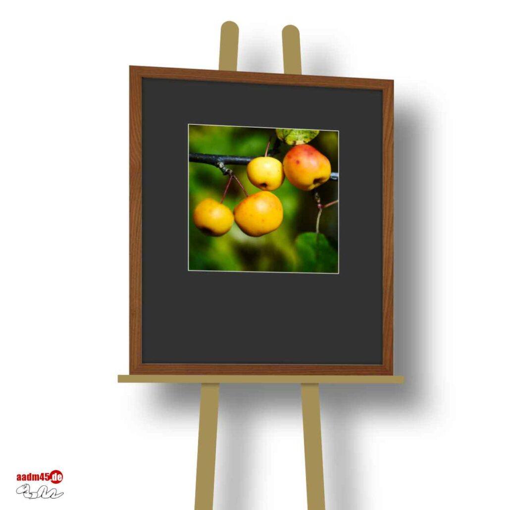 Zierapfel Makro im 50×60 cm Escheholz-Glasrahmen + PP