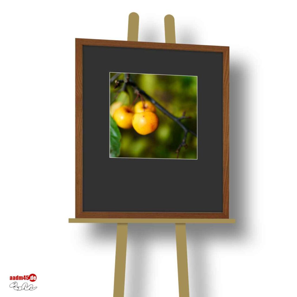 Zierapfel Makro im 50×60 cm Escheholz-Glasrahmen + PP