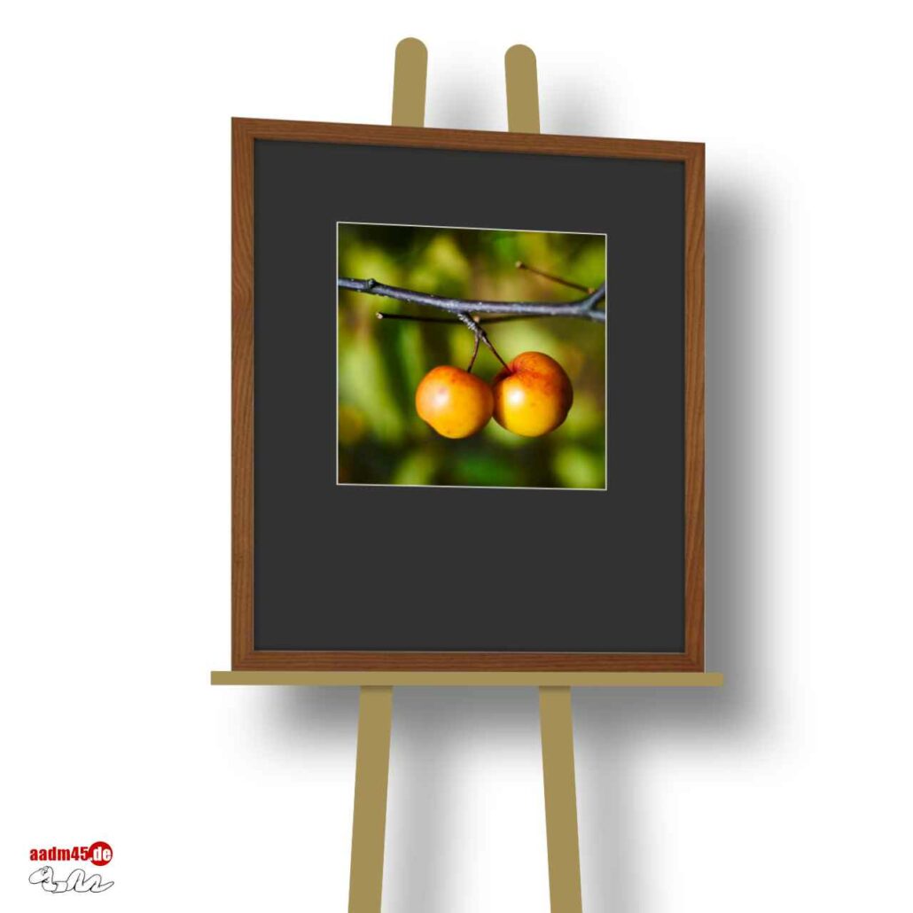 Zierapfel Makro im 50×60 cm Escheholz-Glasrahmen + PP