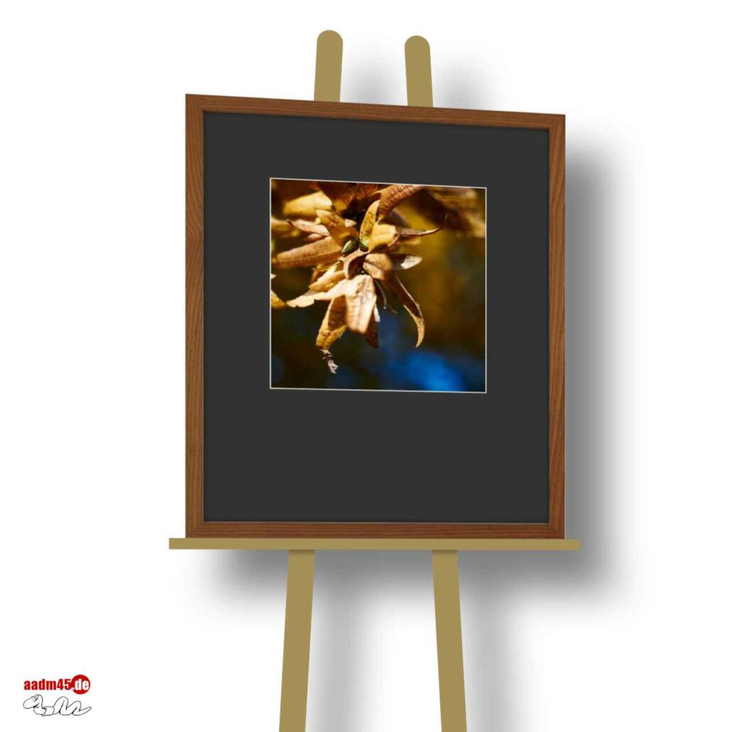 Blätter Makro im 50×60 cm Escheholz-Glasrahmen + PP
