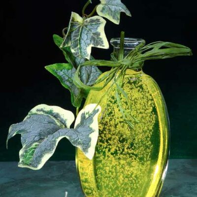 Edition Badetraum 11 © 2007 Ilona Weinhold-Wackernah (VG Bild-Kunst Nr.: 2218881) - https://atelier-an-der-muehle.de