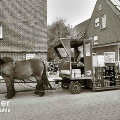 o. T. #09, Juist 2012
