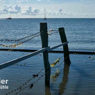 Zaun im Meer