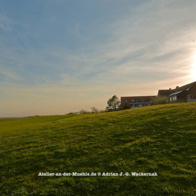 Baltrum Süddeich © 2016 Adrian J.-G. Wackernah - 000509