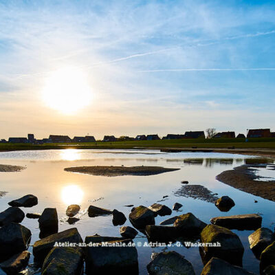 Baltrum Teich © 2016 Adrian J.-G. Wackernah - 000508