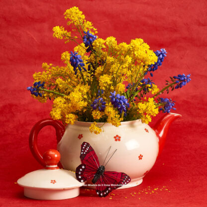 Teeblumen Kanne mit gelben Blüten © 2017 Ilona Weinhold-Wackernah - 000770