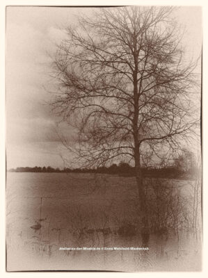 Traumwald Numero 2 © 2011 Ilona Weinhold-Wackernah - 000778