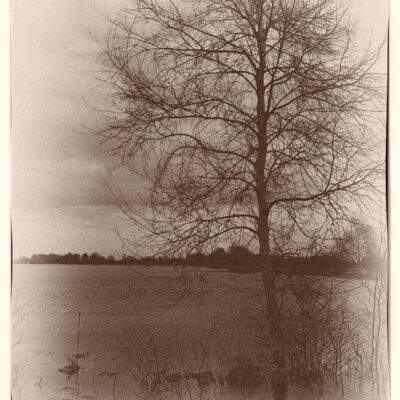 Traumwald Numero 2 © 2011 Ilona Weinhold-Wackernah - 000778