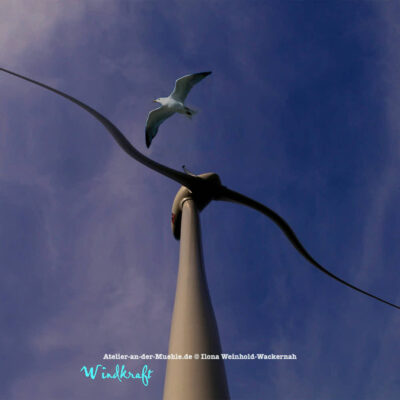 Verzerrtes Windrad mit Möwe © 2011 Ilona Weinhold-Wackernah - 000794