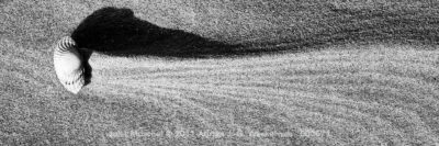 Juist Muschel © 2011 Adrian J.-G. Wackernah - 000671