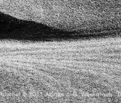 Juist Muschel © 2011 Adrian J.-G. Wackernah - 000671