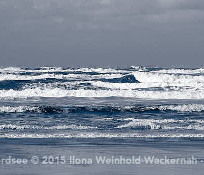 Juist Nordsee © 2015 Ilona Weinhold-Wackernah - 000197