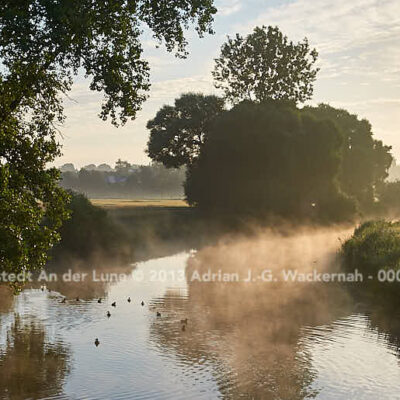 Loxstedt An der Lune © 2013 Adrian J.-G. Wackernah