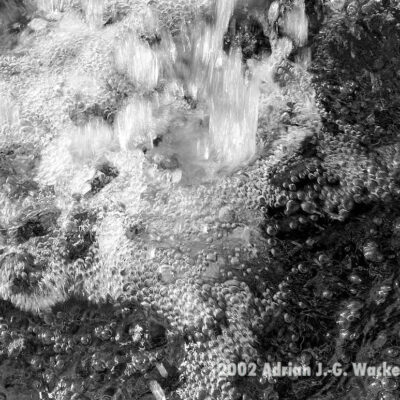 Fotografie Wangerooge Wassersprudel © 2002 Adrian J.-G. Wackernah