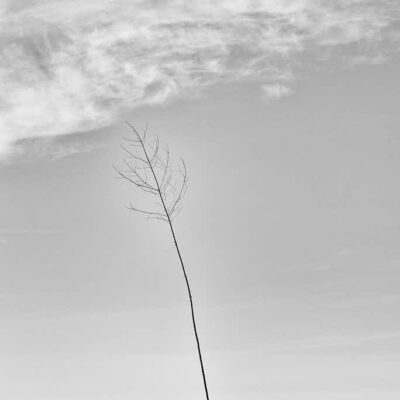 Fotografie Wremen Pricke © 2014 Ilona Weinhold-Wackernah