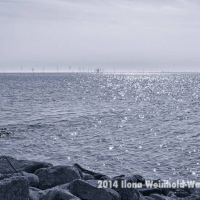 Fotografie Wremen Pricken © 2014 Ilona Weinhold-Wackernah
