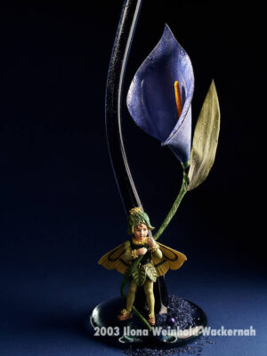 Fotografien ZauberCalla Blauer Traum © 2003 Ilona Weinhold-Wackernah