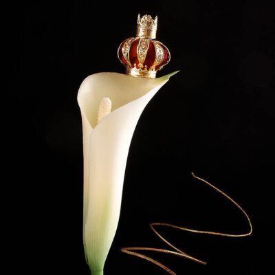 Fotografie ZauberCalla Blütenkönigin © 2004 Ilona Weinhold-Wackernah