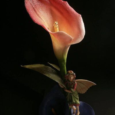 Fotografie ZauberCalla Elfenschatz © 2003 Ilona Weinhold-Wackernah