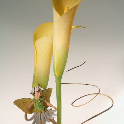 Fotografie ZauberCalla Frühling © 2004 Ilona Weinhold-Wackernah