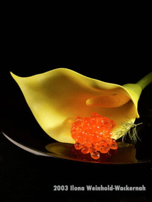 Fotografie ZauberCalla Haute Cuisine © 2003 Ilona Weinhold-Wackernah