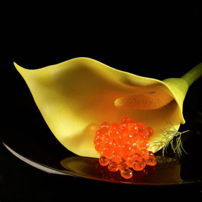 Fotografie ZauberCalla Haute Cuisine © 2003 Ilona Weinhold-Wackernah