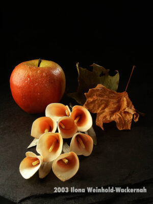 Fotografie ZauberCalla Reiche Ernte © 2003 Ilona Weinhold-Wackernah