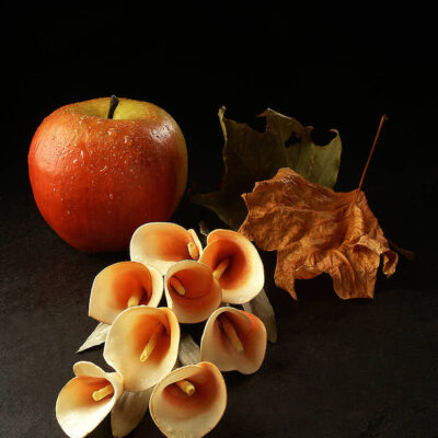Fotografie ZauberCalla Reiche Ernte © 2003 Ilona Weinhold-Wackernah