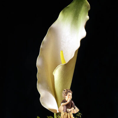 Fotografie ZauberCalla Versteckspiel © 2004 Ilona Weinhold-Wackernah