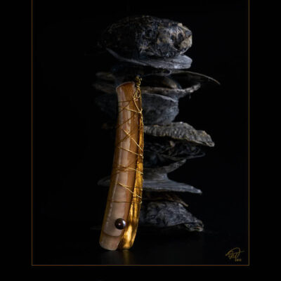 Postkarte Kunst Goldene Scheidenmuschel © 2015 Ilona Weinhold-Wackernah