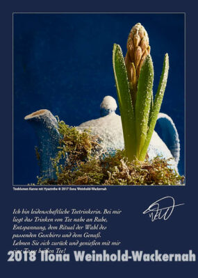 Postkarte Kunst Teeblumen Kanne mit Hyazinthe © 2017 Ilona Weinhold-Wackernah