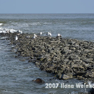 Fotografie Wangerooge Meer © 2007 Ilona Weinhold-Wackernah