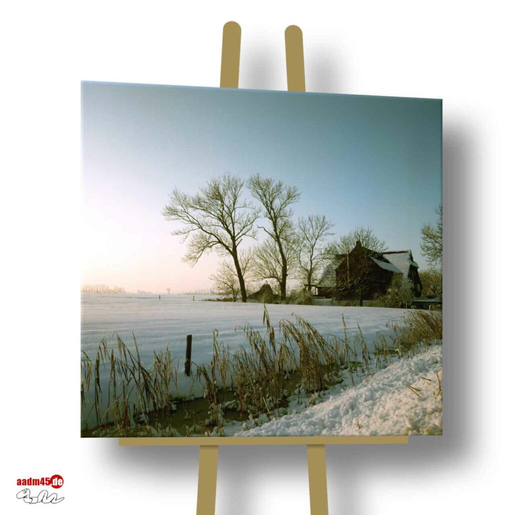 Butjadingen im Winter 100x100 cm Canvas