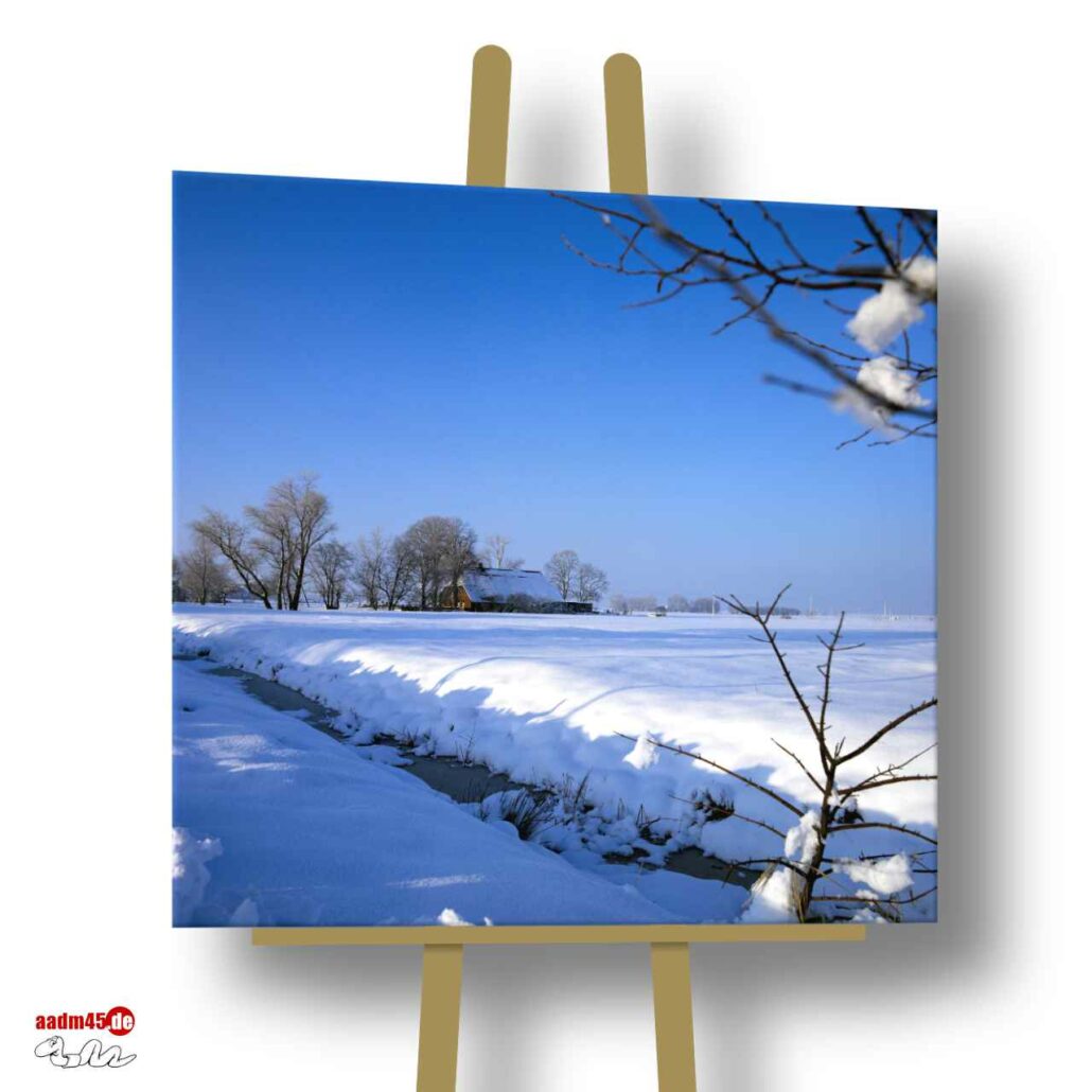 Butjadingen im Winter 100x100 cm Canvas