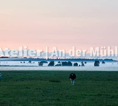 Fotografie Bramel Geesteniederung © 2009 Adrian J.-G. Wackernah - 001058