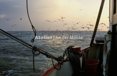 Fotografie Dorum Die Garnele und das Meer © 2004 Ilona Weinhold-Wackernah - 000415