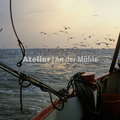 Fotografie Dorum Die Garnele und das Meer © 2004 Ilona Weinhold-Wackernah - 000415