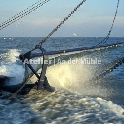Fotografie Dorum Die Garnele und das Meer © 2004 Ilona Weinhold-Wackernah - 000417