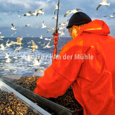 Fotografie Dorum Die Garnele und das Meer © 2004 Ilona Weinhold-Wackernah - 000429