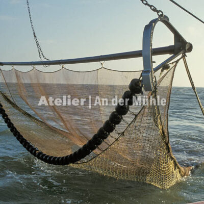 Fotografie Dorum Die Garnele und das Meer © 2004 Ilona Weinhold-Wackernah - 000434