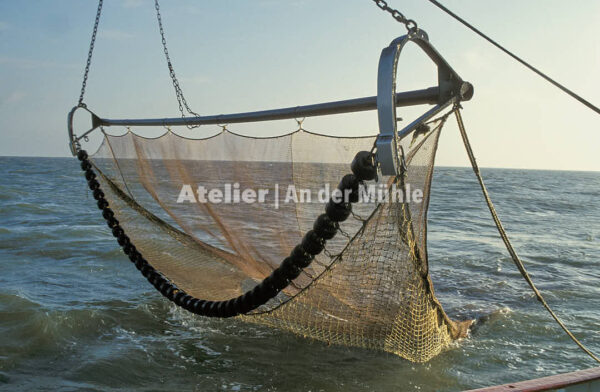 Fotografie Dorum Die Garnele und das Meer © 2004 Ilona Weinhold-Wackernah - 000434
