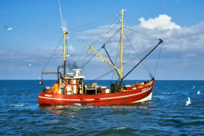 Produktbild Fotografie Dorum Die Garnele und das Meer © 2004 Ilona Weinhold-Wackernah - 000435