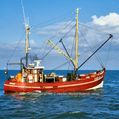 Produktbild Fotografie Dorum Die Garnele und das Meer © 2004 Ilona Weinhold-Wackernah - 000435