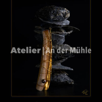 Fotografie Schätze des Meeres Goldene Scheidenmuschel © 2015 Ilona Weinhold-Wackernah - 000857