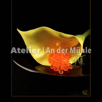 Fotografie Schätze des Meeres Haute Cuisine © 2003 Ilona Weinhold-Wackernah - 000858